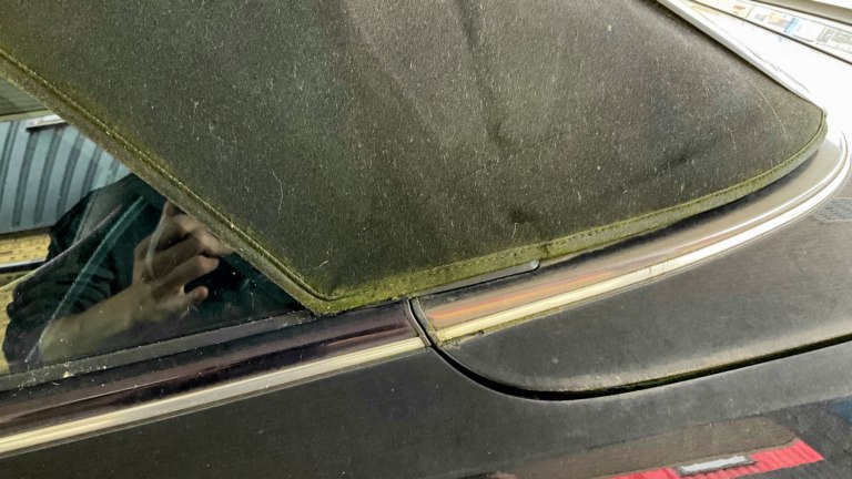 Algae on a fabric convertible roof.