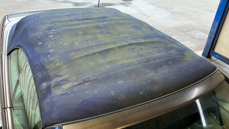 Roof green on a soft top convertible roof.