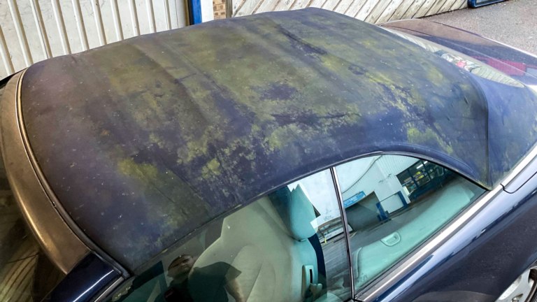 A cabriolet soft-top roof covered in green.