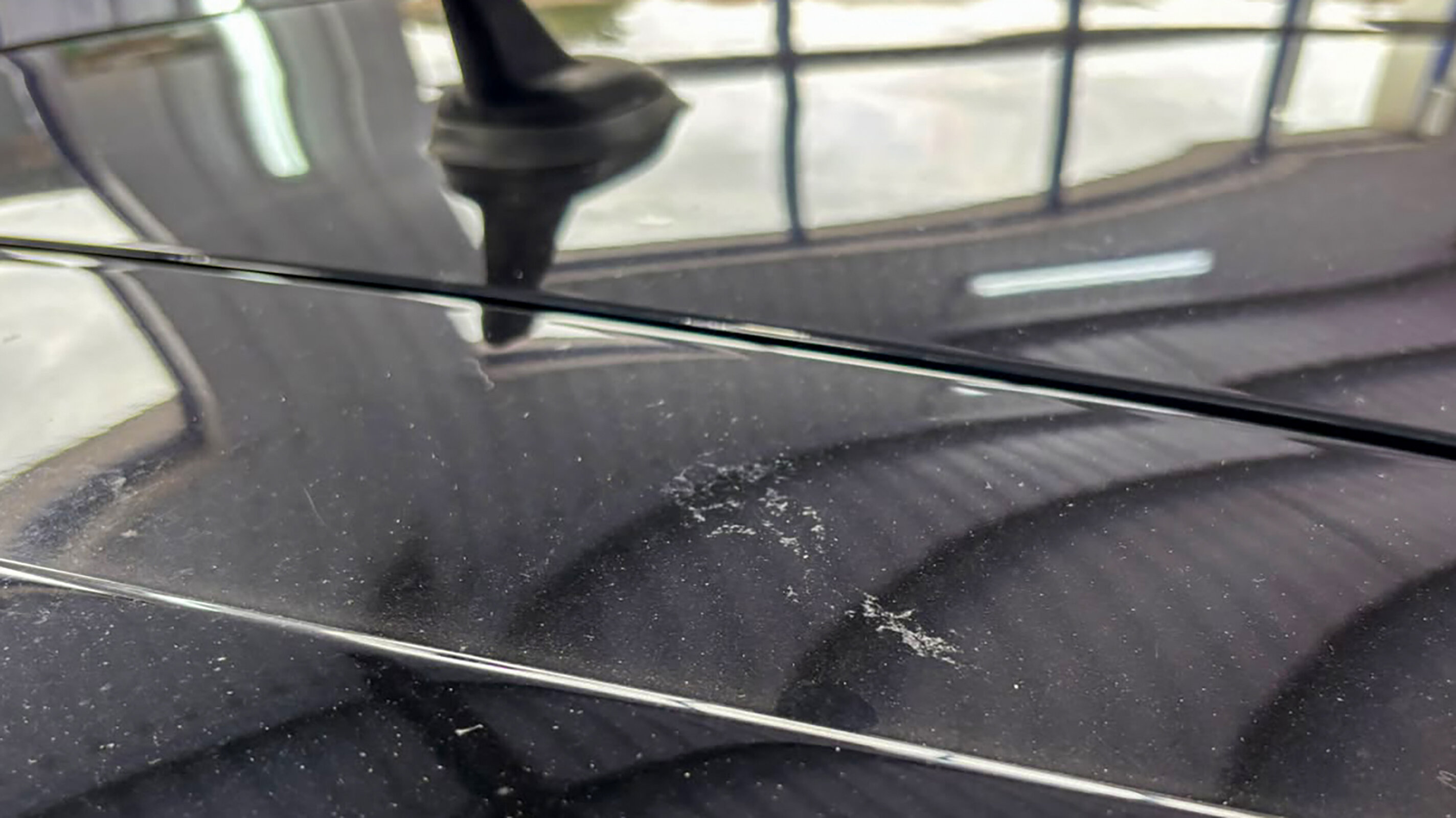 Bird mess etching into the clear coat; left too long, it eats into the paint rather than sitting on top of it.