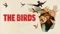 Nature - Destroyer of cars! Part 1 - The Birds