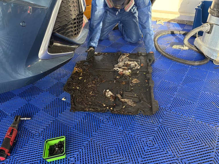 An engine undertray removed from a car, covered in road debris and pale shredded rodent nesting material.