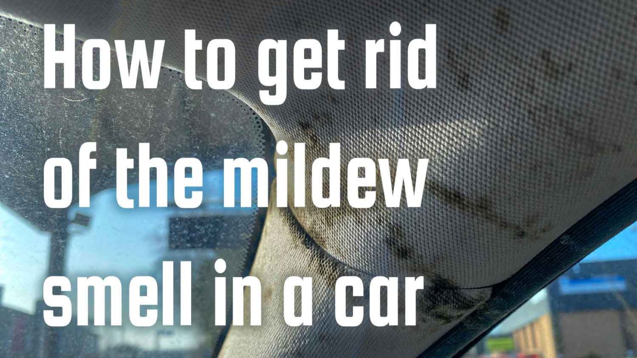 how to get rid of mildew smell in car