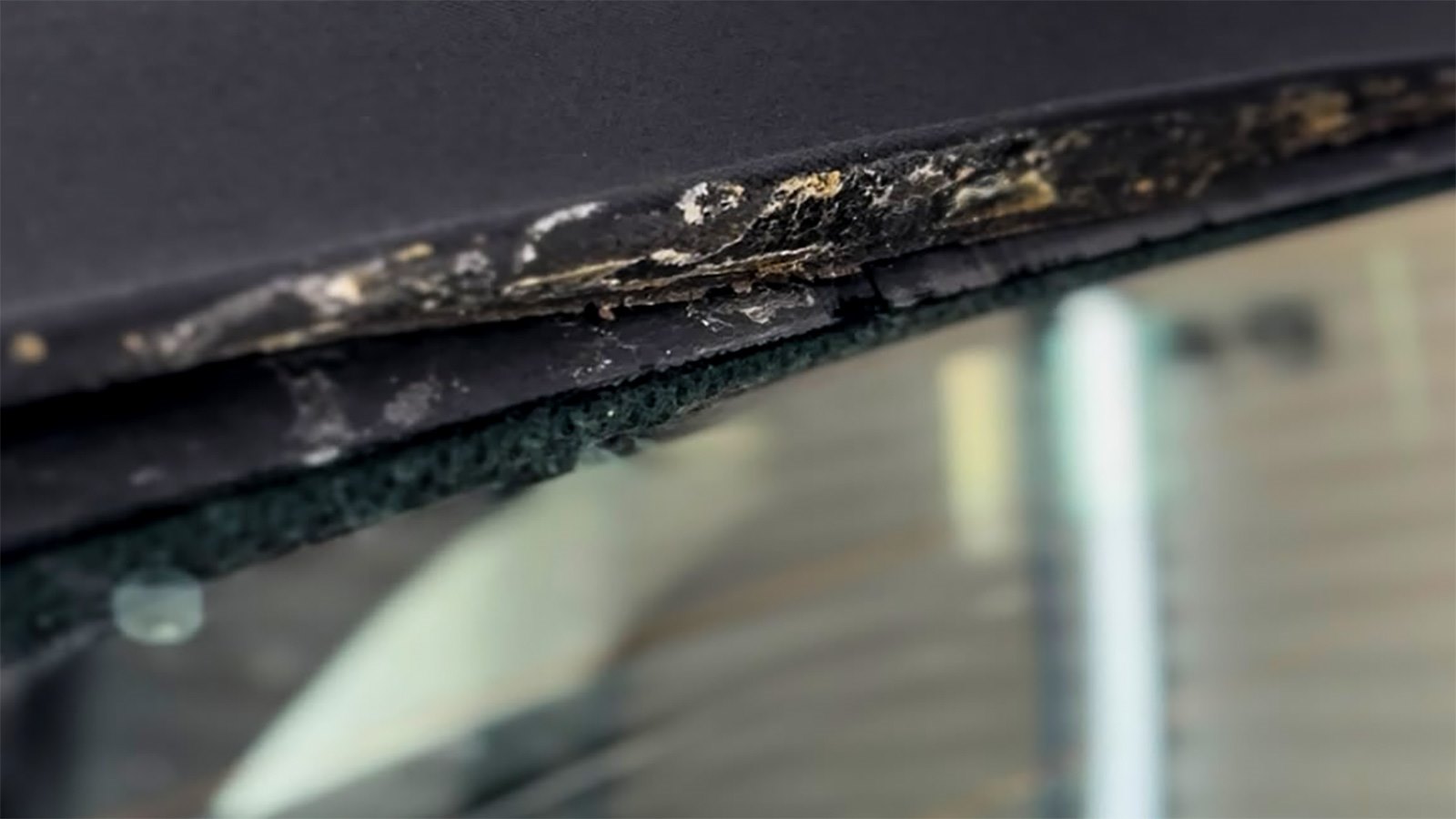 Close-up of a failed adhesive bead on a convertible rear window