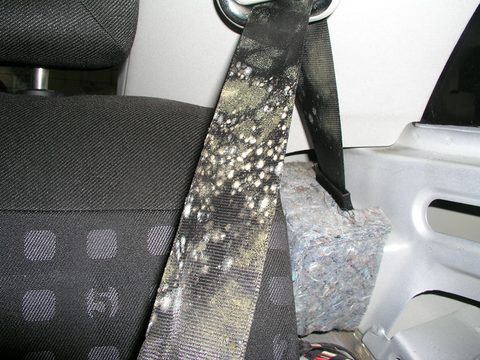 Mould smells in cars