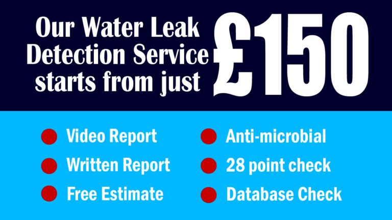 Water leak repair, detection and drying.