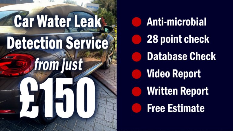 Rain Water Leak Detection Service
