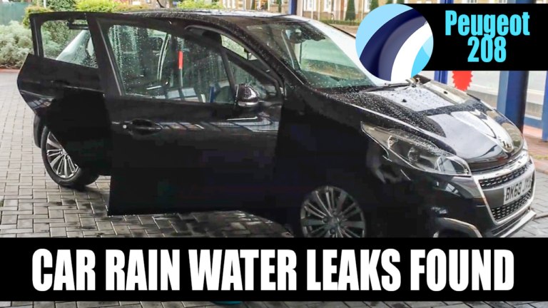 Peugeot 208 2018 | Water Leak Detection Service