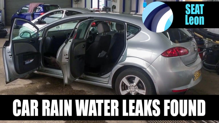 SEAT Leon 2007 | Water Leak from Doors