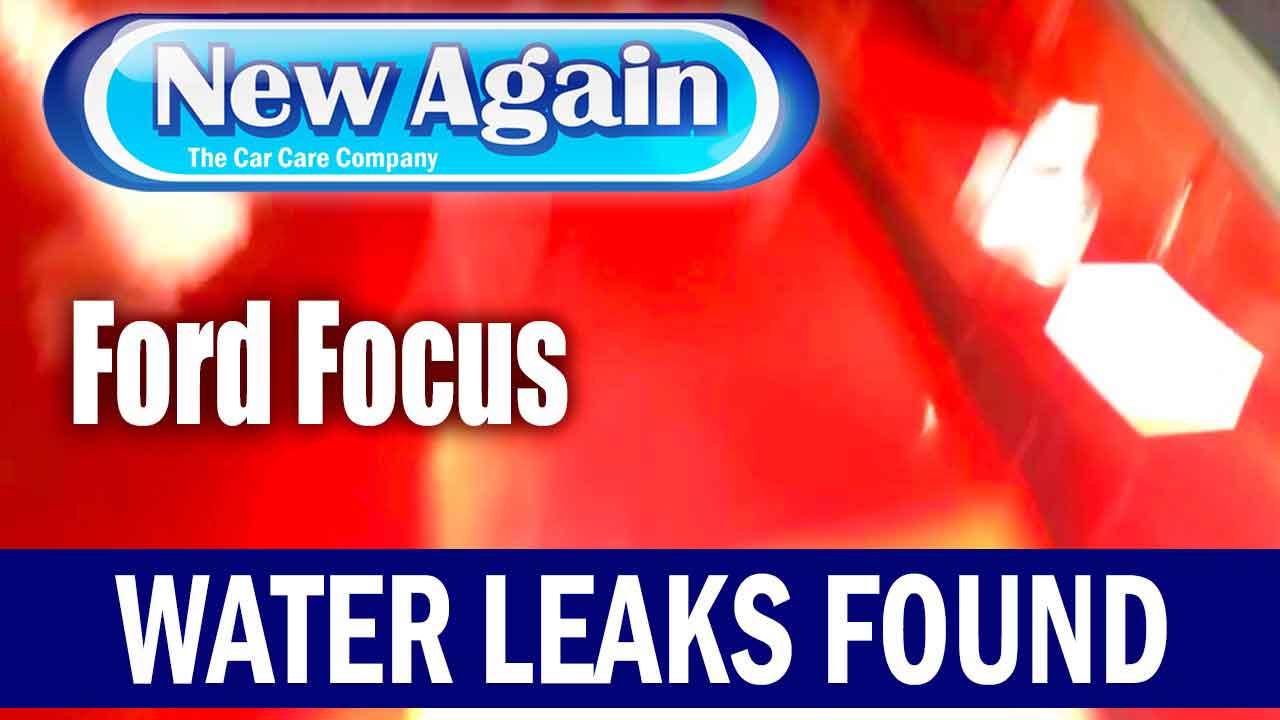 Ford Focus Titanium 2011 | Water Leak Rear Seam