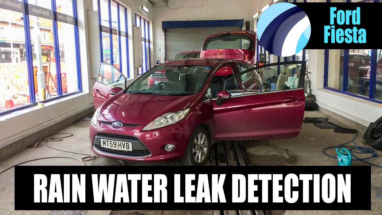 Ford Fiesta | Water Leaking Through Door Membranes Video