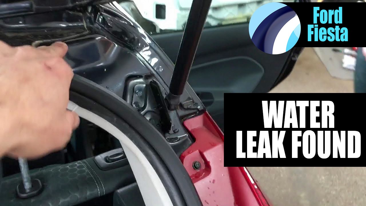 Ford Fiesta 2009 | Water Leak Found