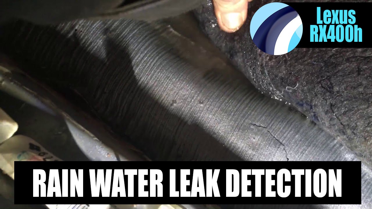 Lexus RX 400h 2008 | Part 1 | Water Leak Doors Video