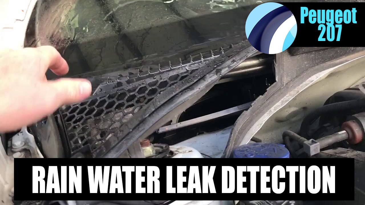 Peugeot 207 | Water Leak From Windscreen Video