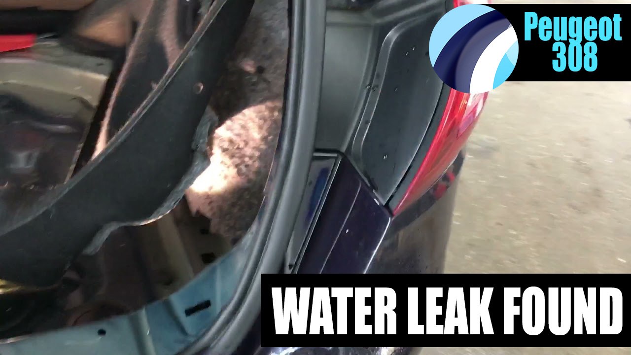 Peugeot 308 2015 | Water Leak Detection Video