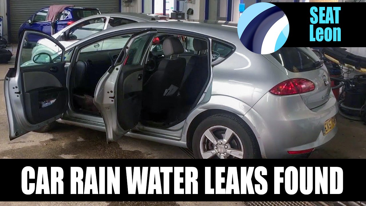 SEAT Leon 2007 | Water Leak from Doors Video